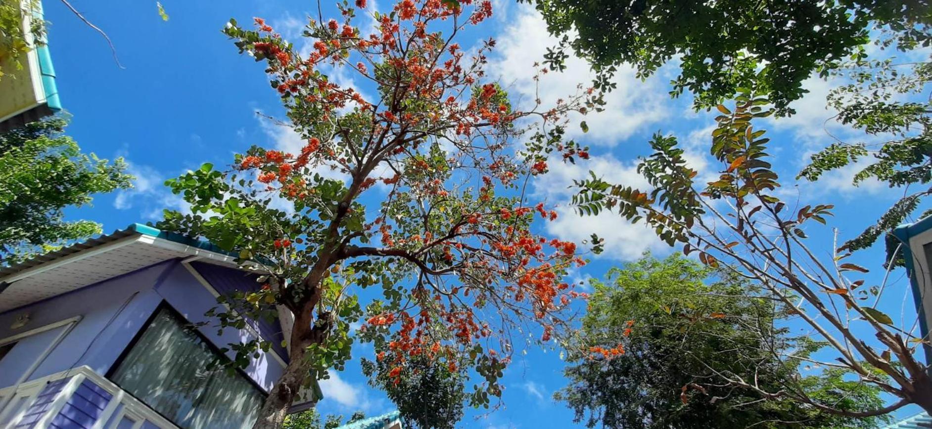 Rak Kun Resort 2 Nakhon Sawan Exteriör bild